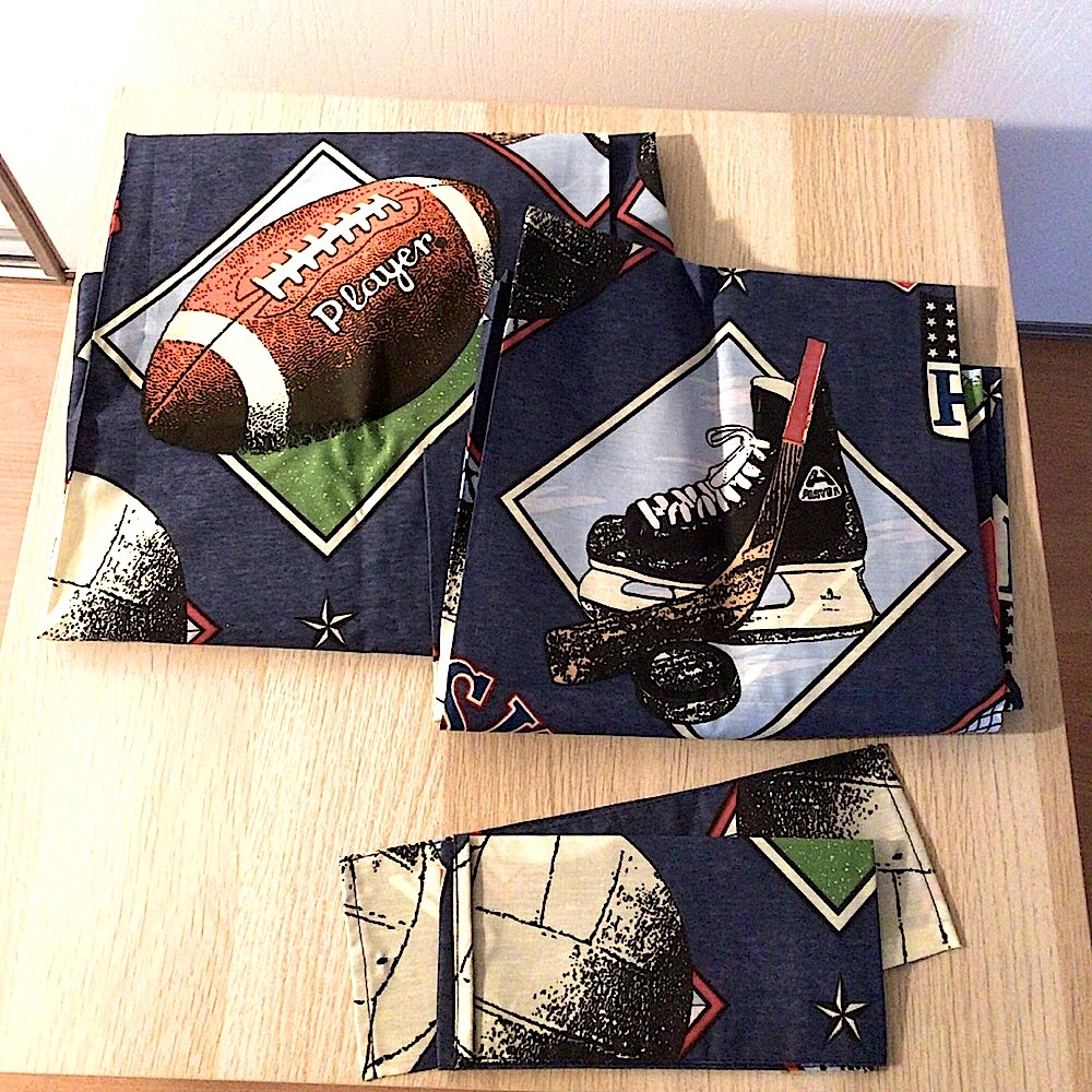 Hollander Sports Curtain Panels